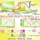 효소란?| 이미지