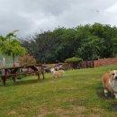 비브라더스 이미지