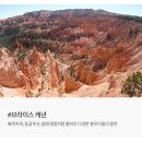 (주)엘컴퍼니 엘버거&스테이크 | 미국여행추천 미서부 패키지 추천! 노쇼핑 노팁 4월 5월 완벽일정!