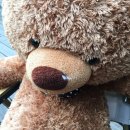 피오르디 젤라또 | 안면도카페 태안카페 젤라또가 맛있는 피오르디 젤라또 후기