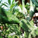 왕궁가든 이미지