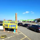 이수준 농장 | 경주눈썰매장 "양남눈썰매장 &amp; 빙어축제" 눈썰매 빙어잡이체험 후기