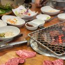 금갑한우