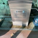 용왕샘터 이미지