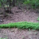 아곡농장 이미지