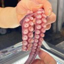 대풍수산 - 강서구 | 대풍수산