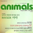루이비숑 이미지