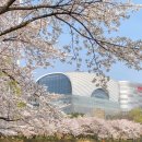 이즈디스카페