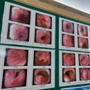 영광종합병원 이미지