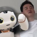 쪼꼬미네 이미지