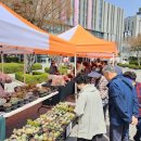 수지구청 광장 이미지