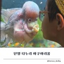 단양 다누리아쿠아리움 리뉴얼후기! 악어등장! 입장료 할인 꿀팁(상품권환급)