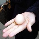 이주용농장 이미지