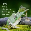 킹 당구클럽 이미지