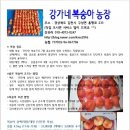 강가네농장 이미지