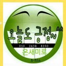 골든피누스 이미지