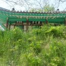 요월정 화장실 네이버블로그