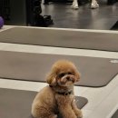 S.T GYM(헬스) | ESTJ가 고르고 고른 남양주 다산 헬스장 추천 &amp; 운동복 추천