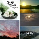 서해식품 Daum카페