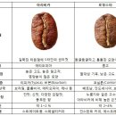 순천국제바리스타학원 네이버블로그
