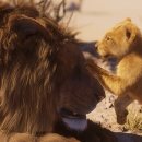 라이언테크 이미지