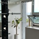 텐세그리티 이미지