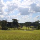 아리스타 컨트리클럽 이미지