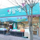 생활애