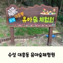 대흥동 유아숲체험원 | 대구 아이랑 가볼만한곳, 수성 대흥동 유아숲체험원 후기