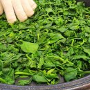 꽃차마스터2급 자격증 과정 이미지