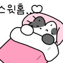 비룡5길 이미지