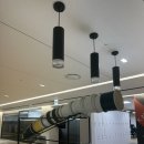 개미생삼겹 | [2024.11~12] 밀린 2024년 연말 일상 모음