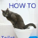 든든하지항외과의원 이미지