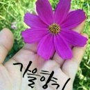 성서1차단지 이미지