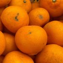 기일농장 이미지