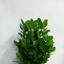 해피타임 이미지