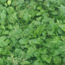 문바위농장 이미지