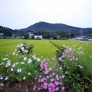 풍경하루 이미지