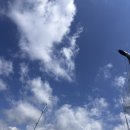 친구낚시편의점 | 제주도 배낚시 체험 서귀포시 캡틴호 체험배낚시 내돈내산 후기