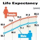 March 21st Topic ( Koreans' life expectancy tops 80 ) 이미지