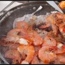 벌떡새우 이미지