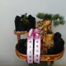 신안중모터스 이미지