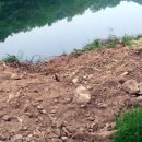 기산제방 이미지