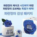 사회적협동조합 파란나라 이미지