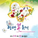 제9회 광양꽃축제(3/19~3/22) 이미지