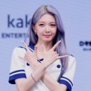 다미(Dami) - 양천구 | 다미(Dami)