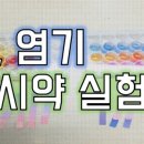 과학실험 이미지