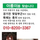 2011년 12월 28일, 전북 전주 완산구 실종, 암컷(믹스) 이미지