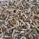 주식회사 청일 이미지