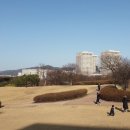 둔산 선사유적지 이미지